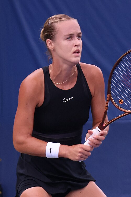 Anna Karolína Schmiedlová