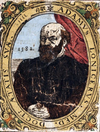 Adam Lonitzer