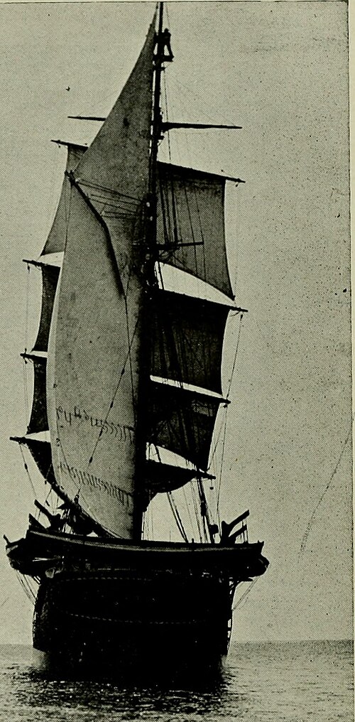 Robert Cushman Murphy